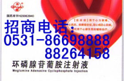 广东医药招商,聚焦创新驱动，打造生物医药产业集群新格局