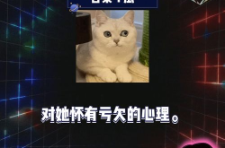 娱乐吃瓜第一集,揭秘娱乐圈幕后真相，带你走进明星真实生活