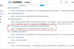 深圳市少儿医疗保险网上申报系统,便捷服务，助力少儿健康保障