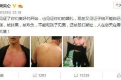 娱乐圈吃瓜熊婶,揭秘熊婶的吃瓜传奇