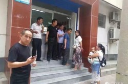 揭秘背后原形-MCNDATA-宝宝辅食首选：大略易做的咖喱饭让育儿更松弛！？女人开奥迪A5毕竟啥层次