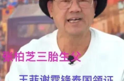 吃瓜娱乐圈大瓜是谁,吃瓜群众热议的神秘事件主角揭晓
