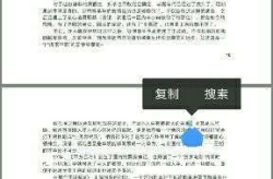 421页吃瓜pdf,从421页PDF看网络舆论场的众生相