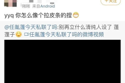 娱乐在前线吃瓜,揭秘“吃瓜群众”背后的故事