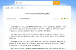 湖北新增确诊病例411例,疫情形势再次严峻！