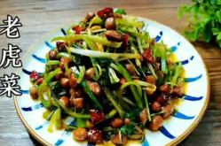 老虎菜全集吃瓜网,吃瓜网带你领略美食与文化的盛宴