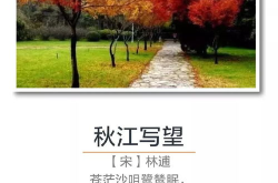 秋的古诗,古诗中的秋意盎然