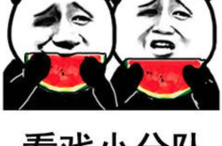 吃瓜娱乐小狗表情包,萌态可掬，笑点满满