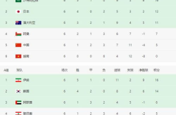 世界杯亚洲预选赛积分,晋级之路与荣誉之战